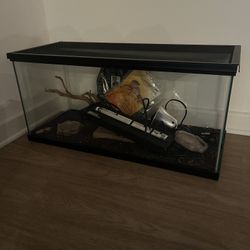 20 Gallon Terrarium 