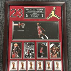 Michael Jordan Magnificent Wall Piece 