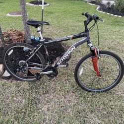 Schwinn Ranger 18” 