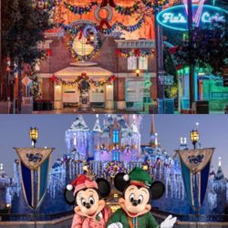 Disneyland Park Hopper Tickets