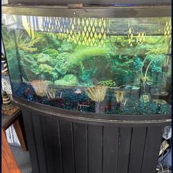 Fish Tank With Stand , Need Gone ASAP 
