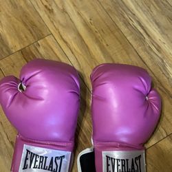 Brand New Boxing Gloves