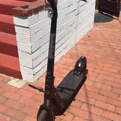 bird flex scooter