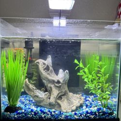 6 Gallon Aquarium/Fish Tank