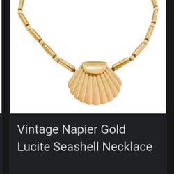 Napier Shell Necklace 