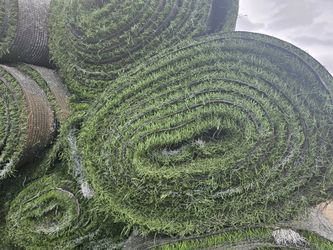 BEST DEAL on TURF Rolls!! (Lubbock, TX)