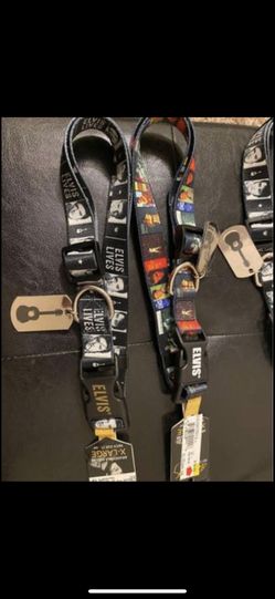 Dog Accessories