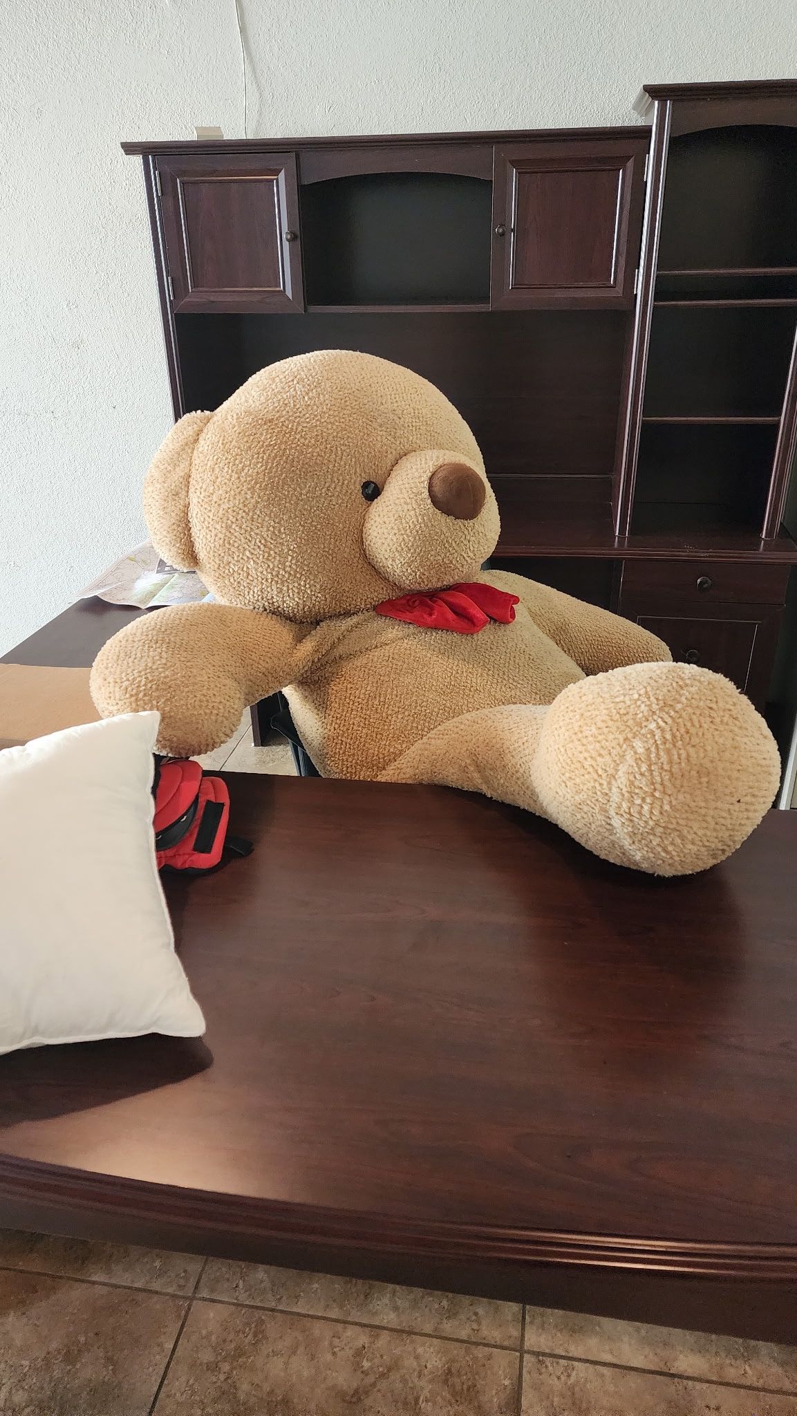 Giant Teddy Bear