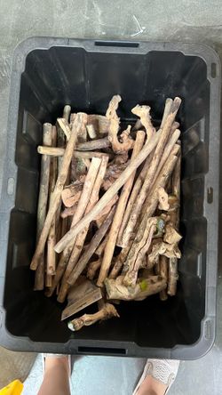 Drift wood sticks