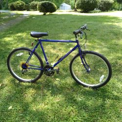 BIANCHI  MOUNTAIN BIKE 200 BUCKS