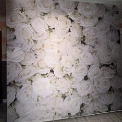 Backdrop 8x8