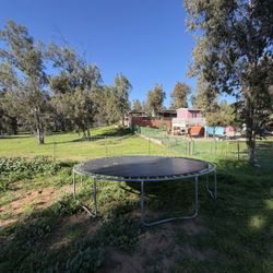 Free Trampoline