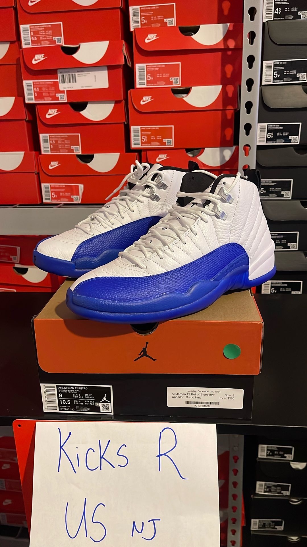 Air Jordan 12 Blueberry Men Size 9