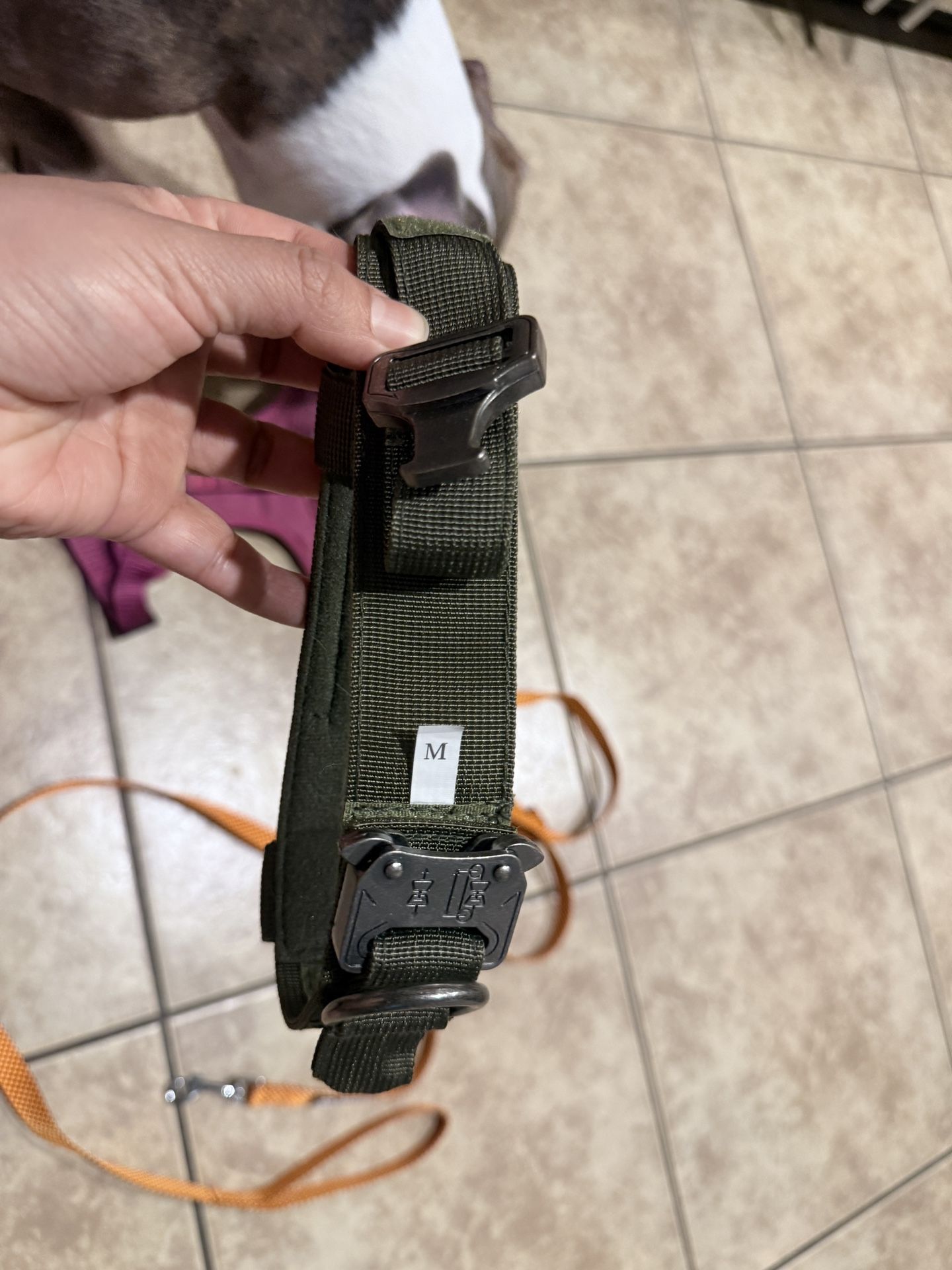 Dog Items