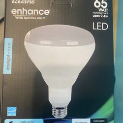 12 Pack Led Bulb Day Light