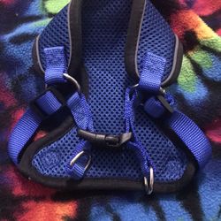 Pet Harness