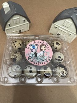 Quail Cartons