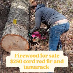 Firewood red fir split