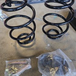 Rear Lowered Coil Springs