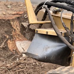 Stump Grinding