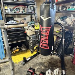 Everlast punching bag