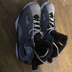 Jordan True flight Gray 