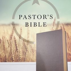 NIB HCSB Pastor's Bible