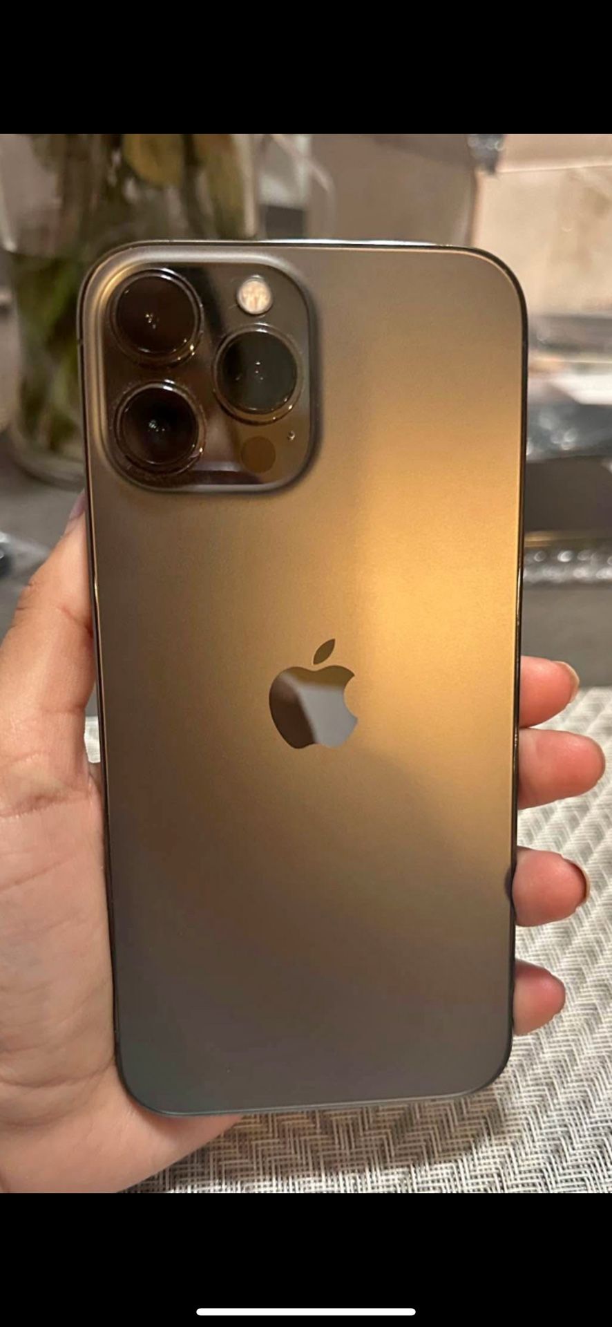 iPhone 13 Pro Max