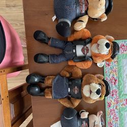 Harley Davidson Bears