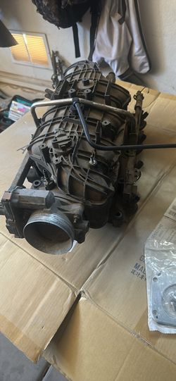 TBSS INTAKE