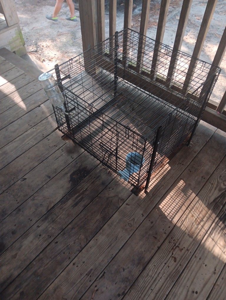 Bunny Cage