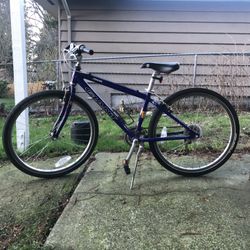 Giant Bike - Hybrid Tires 