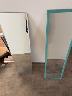Long Mirrors