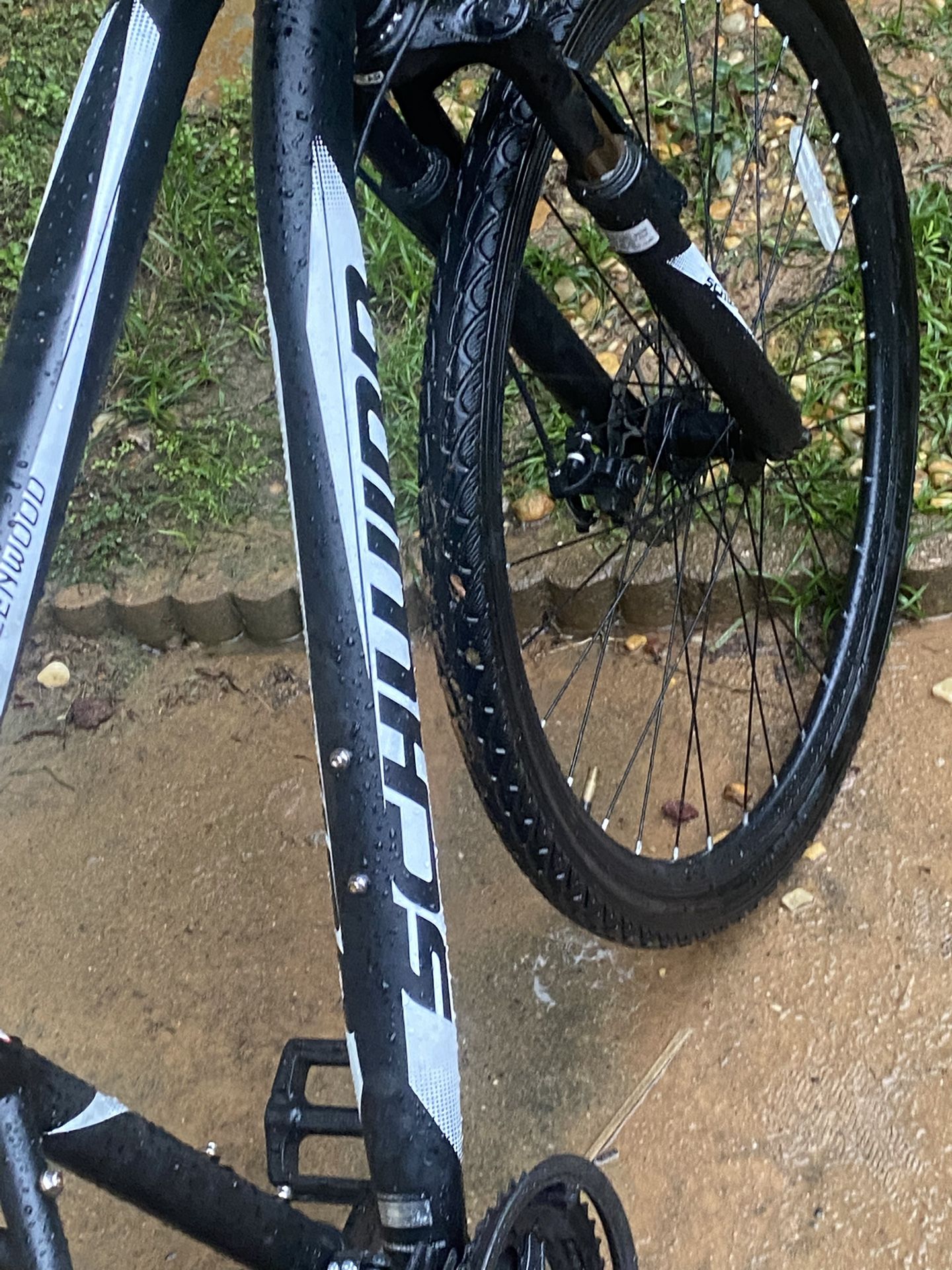 Nice Bike
