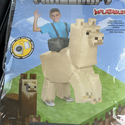 Minecraft Inflatable Costumes