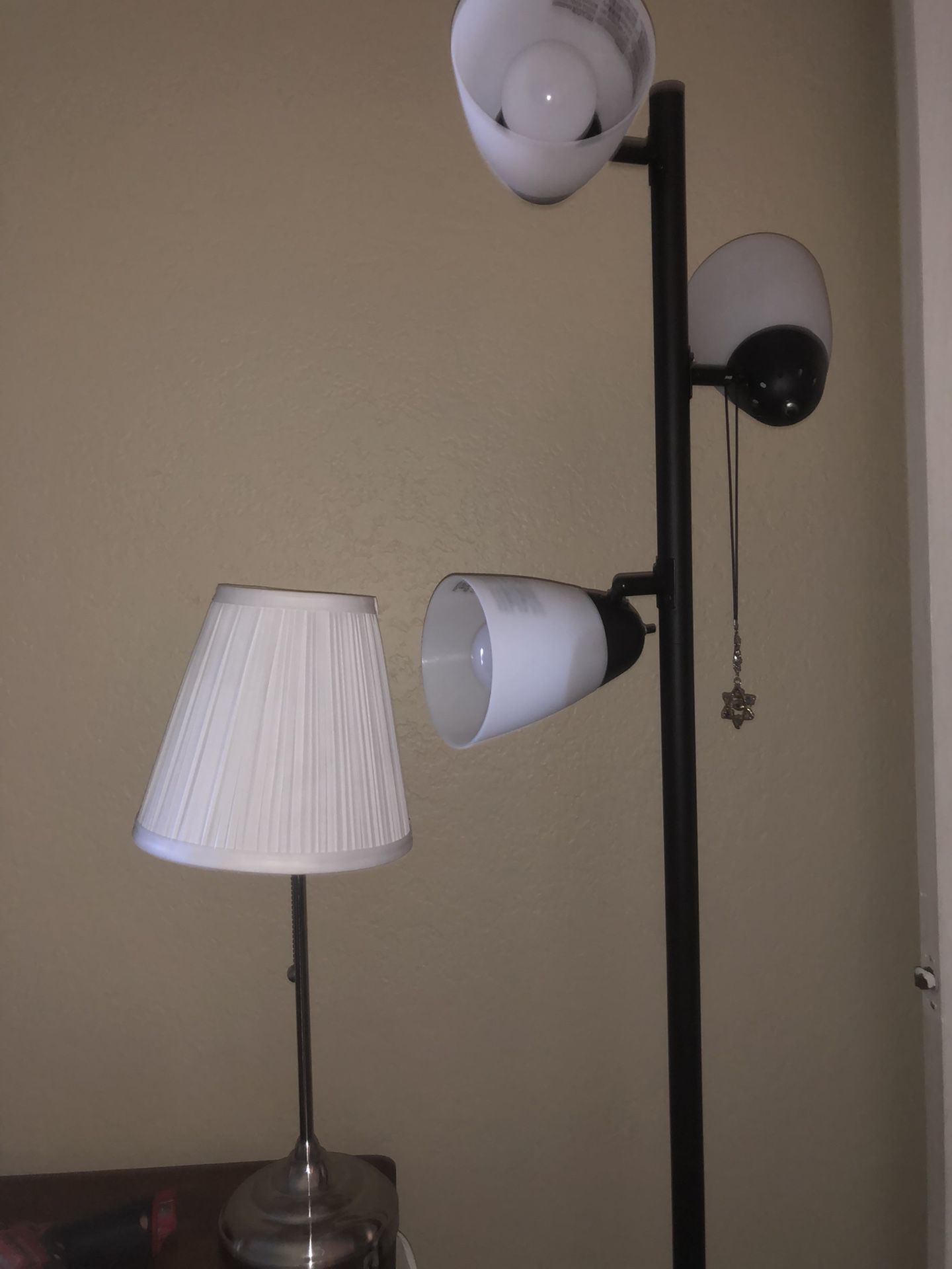 Floor Lamp And Desk Lamp