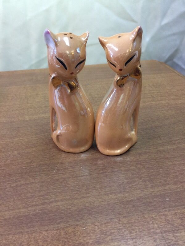 S&P cats