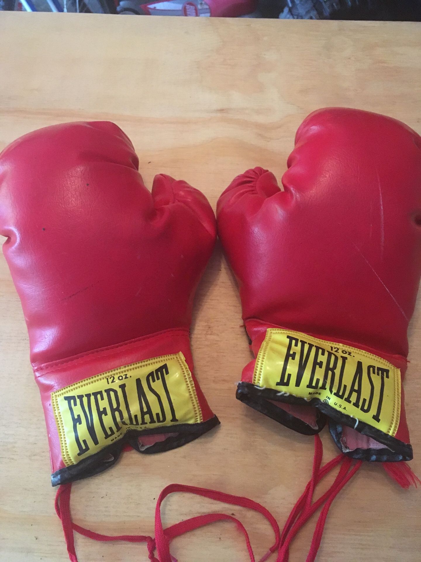Kids Everlast 12oz Boxing Gloves Lace-Up