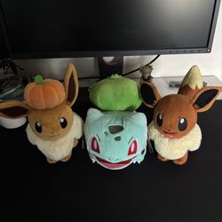 Pokémon Plushies
