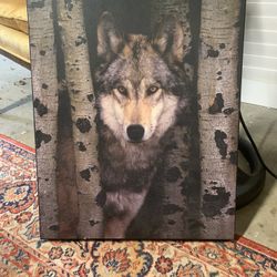 Wolf Canvas Print