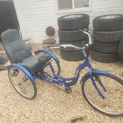 Schwinn Meridian 