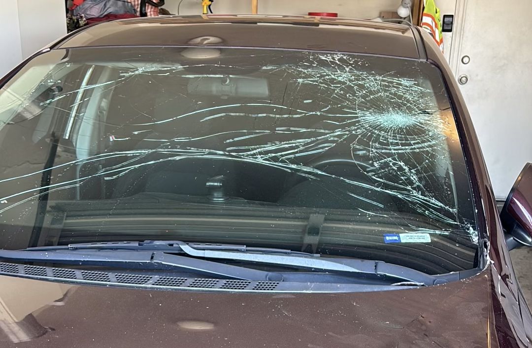 New Windshield