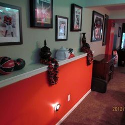 Ed Reed - Miami Hurricanes Jersey Autographed & Framed