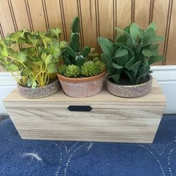 Planter Home Decor 