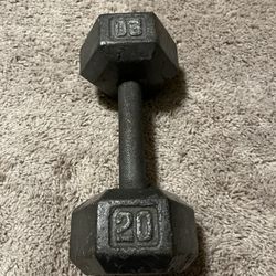 1 Single 20 Lb Steel Hex Dumbbell 