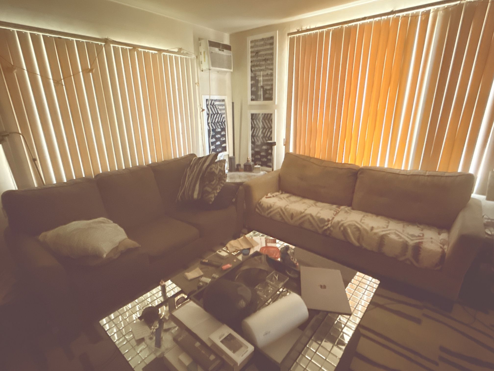 2 FREE Fold-out Bed Couches