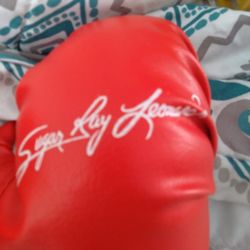 Sugar Ray Leonard Youth Boxing Gloves 