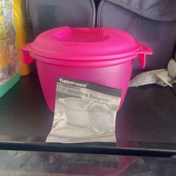 Rice Microwave Warmer 