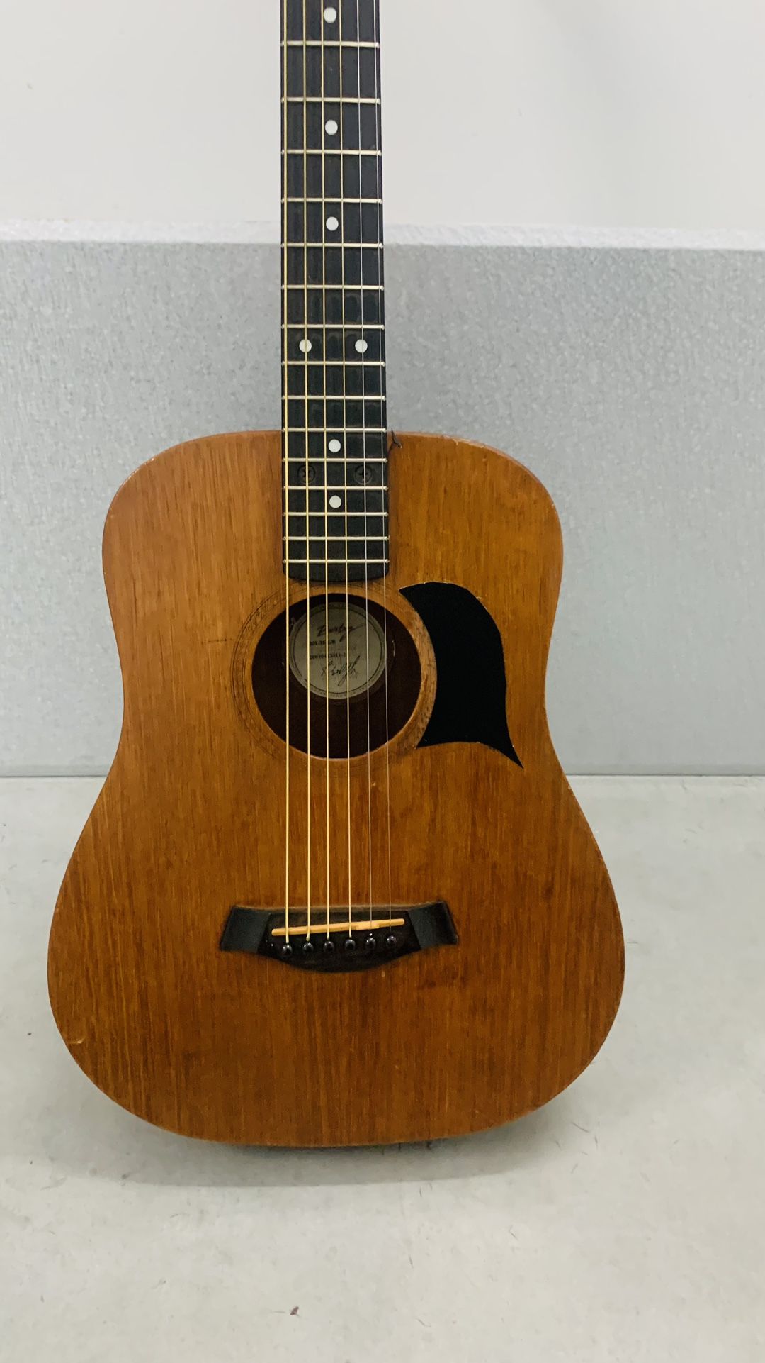 Taylor Baby BT2 Taylor Mahogany Acoustic Guitar