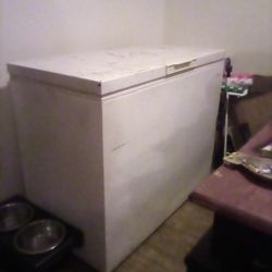 Wood's Deep Freezer 